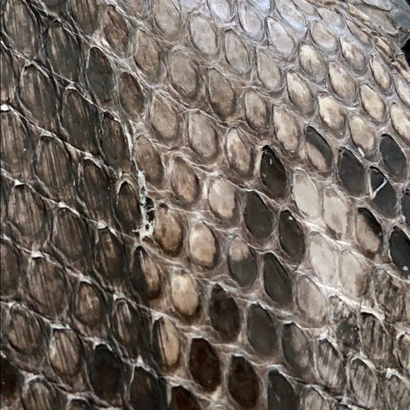 Balenciaga Python Arena Sneaker - Picture 8 of 9